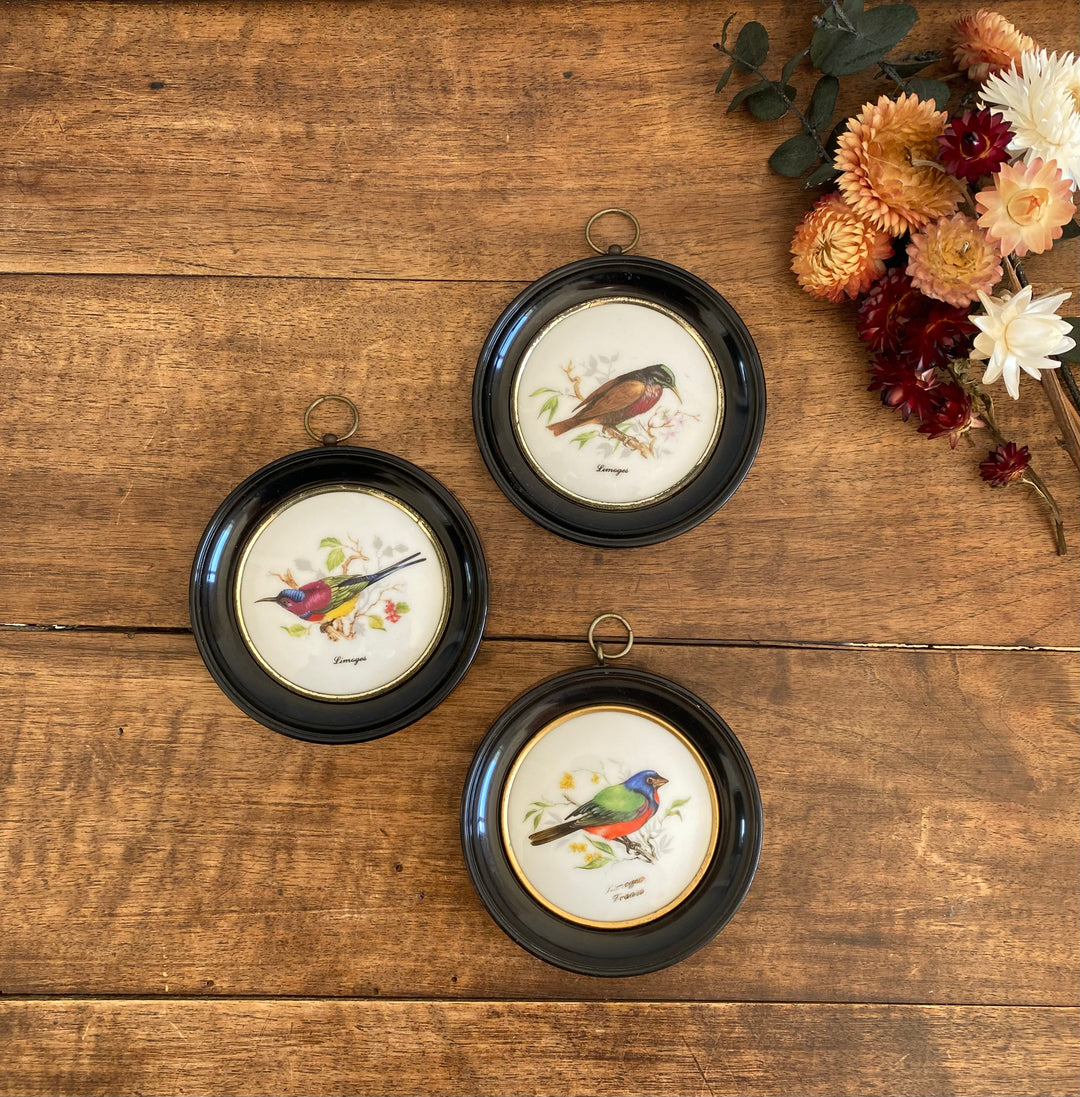 Médaillons oiseaux en porcelaine