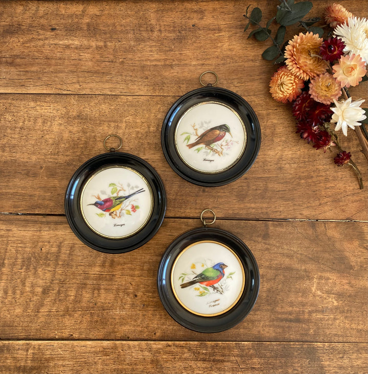 Médaillons oiseaux en porcelaine