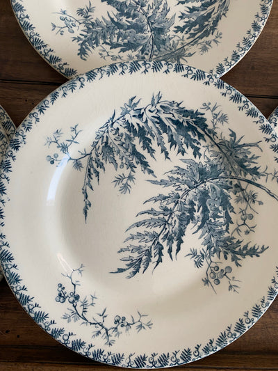 Assiettes blanches et bleues porcelaine opaque de Gien collection Fougères