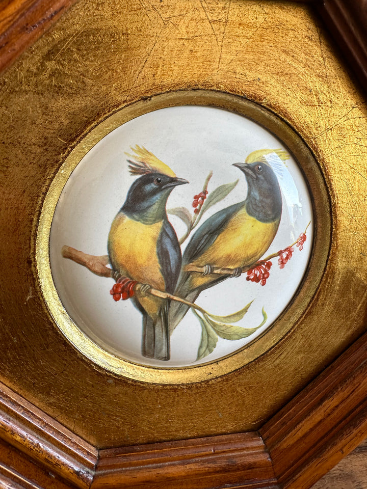 Oiseaux sur porcelaine dans cadre octogonal bordure dorée