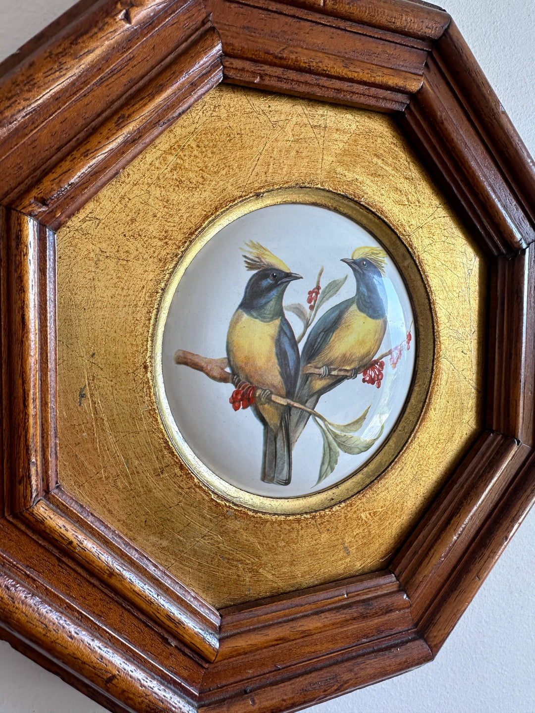 Oiseaux sur porcelaine dans cadre octogonal bordure dorée