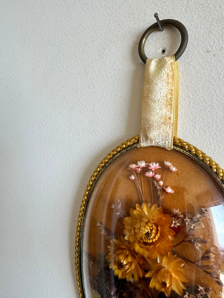 Fleurs séchées sur fond velours moutarde sous verre bombé