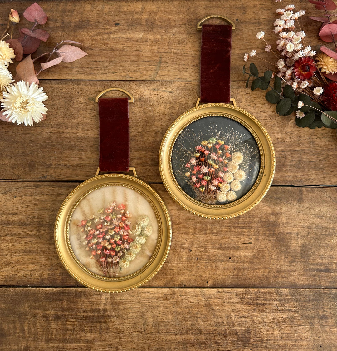 Compositions fleurs séchées sous verre ruban en velours violine