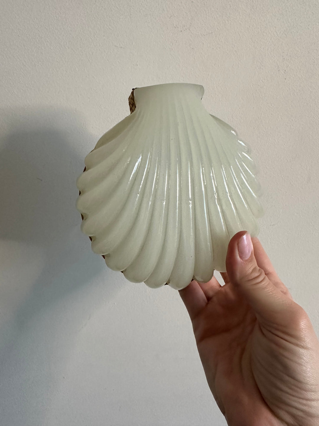 Bonbonnière coquillage en opaline cerclée de métal doré