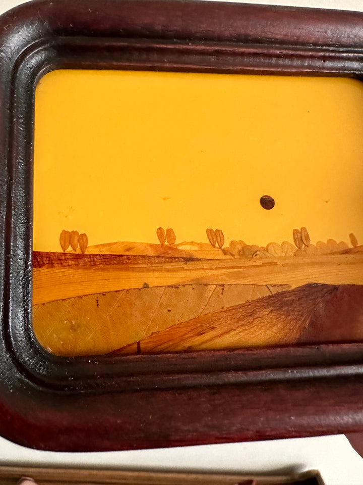 Cadre rectangulaire fond jaune pétales de fleurs véritables