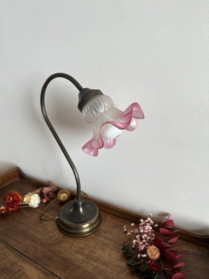 Lampe col de cygne globe en verre dépoli rose