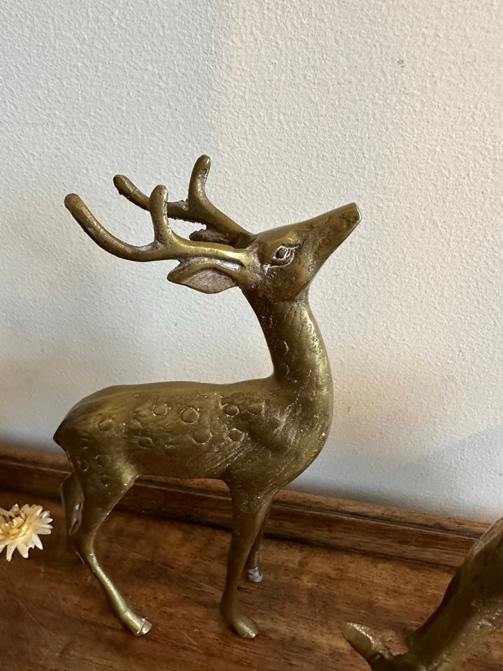 Cerf et biche en laiton doré