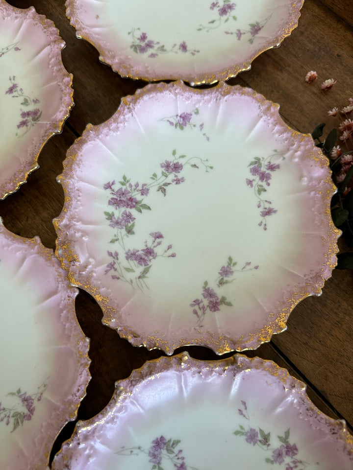Assiettes en porcelaine de Limoges bordures dentelées dorées