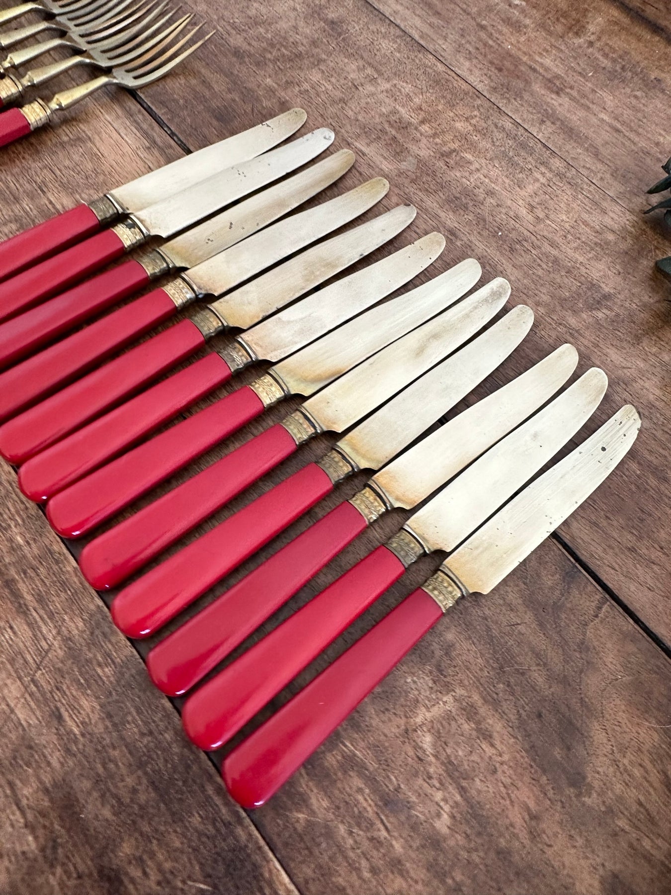 Eclat rouge 12 fourchettes de table - RETIF