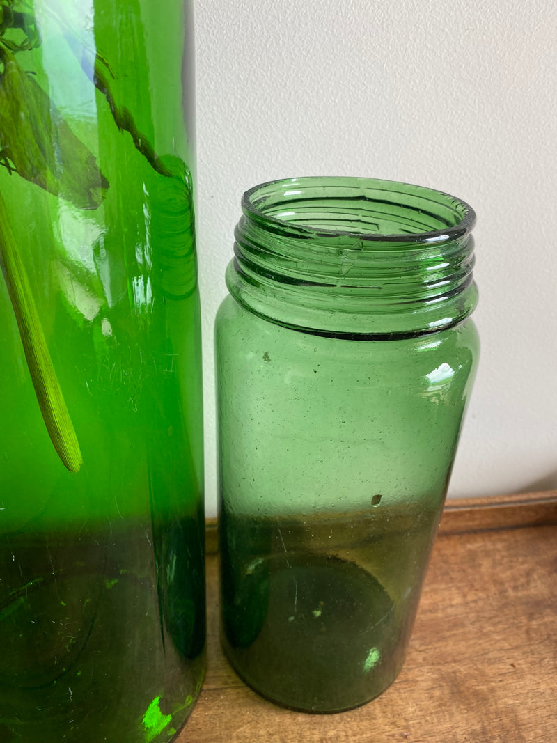 Vases bocaux anciens en verre verts