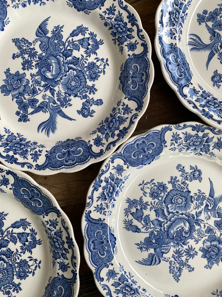 Assiettes plates et creuses Ridgway