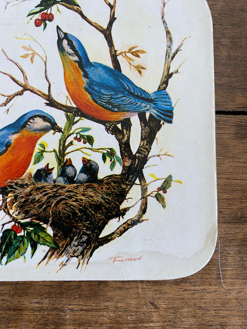 Sous verres en liège motifs oiseaux