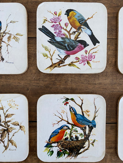 Sous verres en liège motifs oiseaux