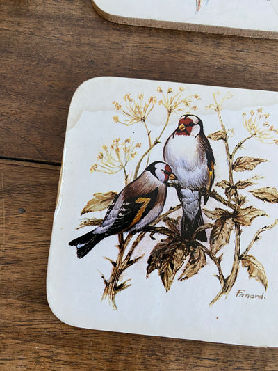 Sous verres en liège motifs oiseaux