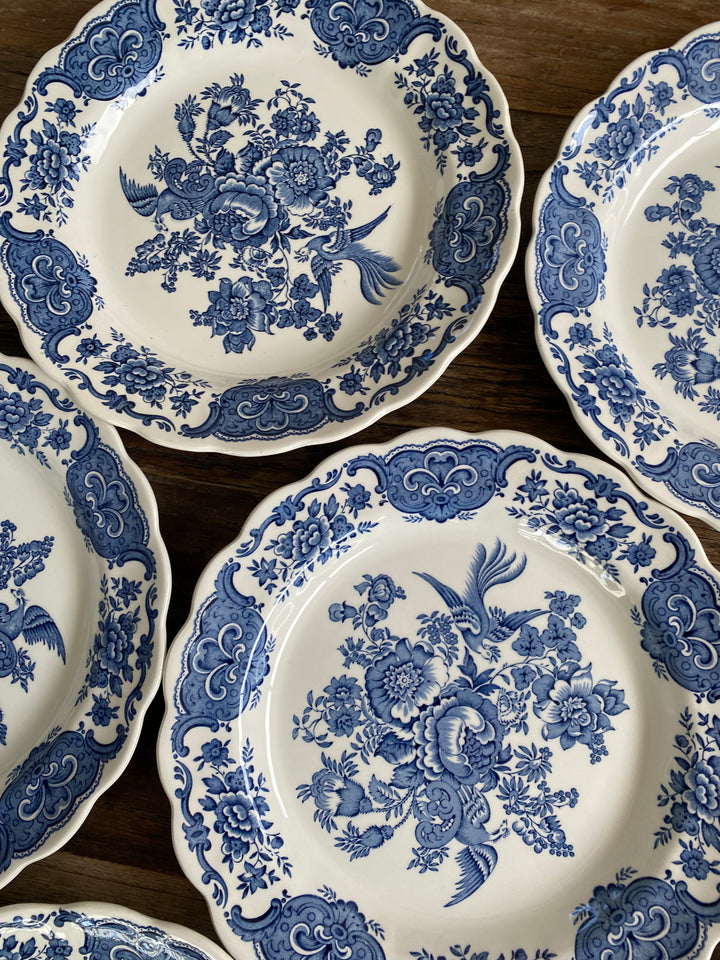 Assiettes plates et creuses Ridgway