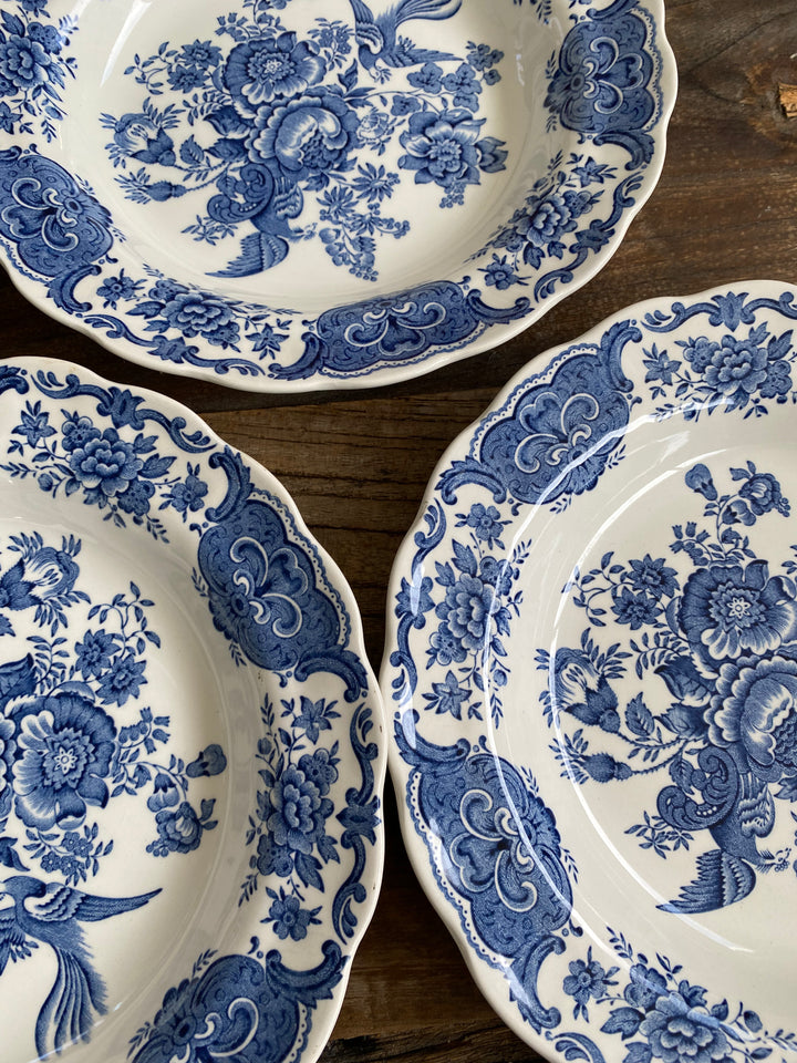 Assiettes plates et creuses Ridgway