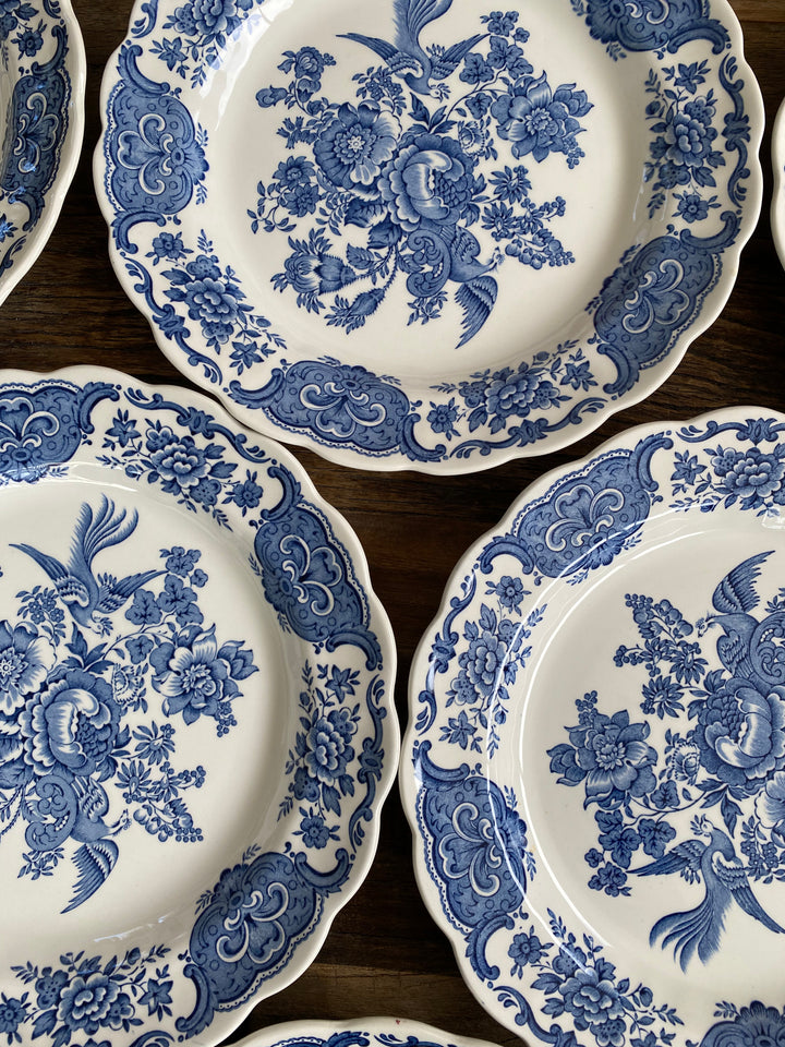 Assiettes plates et creuses Ridgway