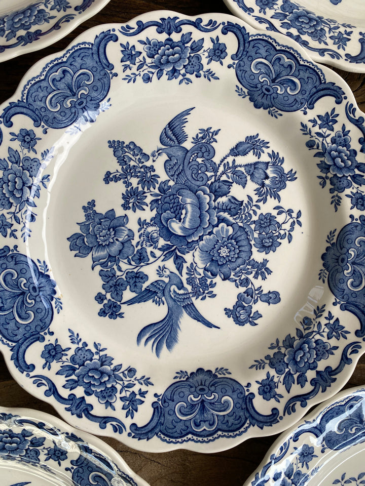 Assiettes plates et creuses Ridgway