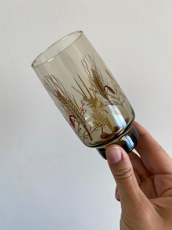 Verres à eau en verre fumé décor champêtre